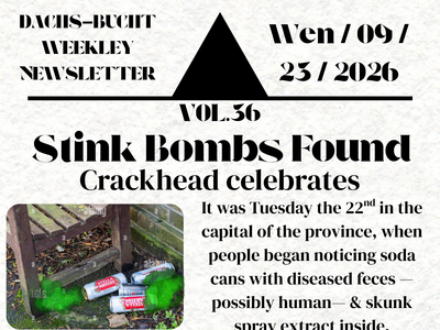 Issue 036